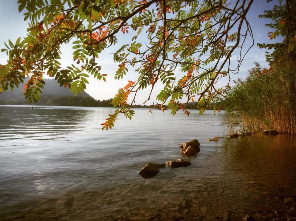 Apartmenthaus Der Johanneshof - Tolle Lage Nah Am See Schliersee Exterior foto